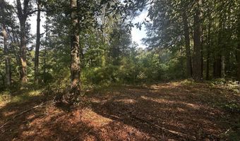 137 Shorter Rd, Braxton, MS 39044
