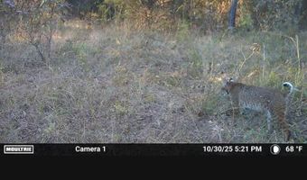 N80 Helt Rd, Antlers, OK 74525