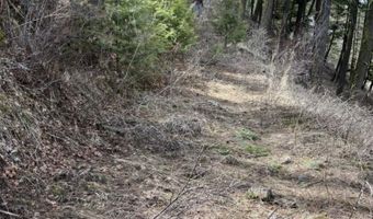 State Highway 129, Anatone, WA 99401