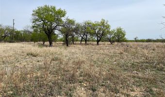 Hwy 6, Albany, TX 76424