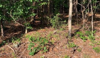 Rock House Road, Blacksburg, SC 29702