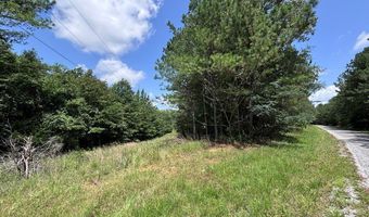 North Palestine Road, Baldwyn, MS 38824