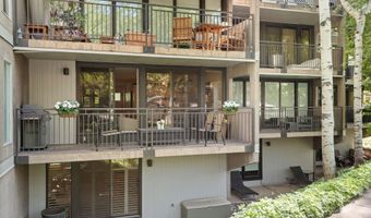 800 E Hopkins Ave A-3, Aspen, CO 81611