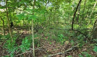 Lot 2 Lyneham LN, Bella Vista, AR 72714