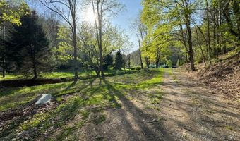 1170 Straight Run Rd, Alum Bridge, WV 26321