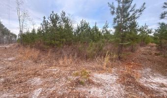 Qbf 12 Nurnberg Dr Road Qbf 12, Batesburg Leesville, SC 29070