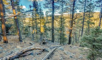 66 Mora Ranch Rd, Angel Fire, NM 87710