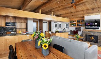 809 S Aspen St 8, Aspen, CO 81611