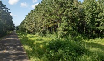 Jolene Road, Basile, LA 70515