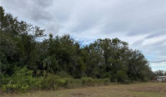 2597 NE Nat Ave, Arcadia, FL 34266