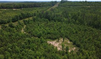 Tucker Road lot 9, Bath Springs, TN 38311