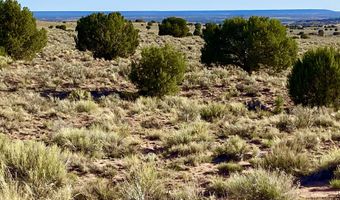 River Meadows Ranch Unit 3 Lot 204, Concho, AZ 85924