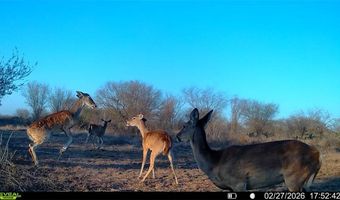 CR 119 lot 0, Alice, TX 78332