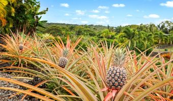 75-399 Wehilani Dr, Kailua Kona, HI 96740