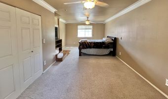 1265 Dotta Dr, Elko, NV 89801