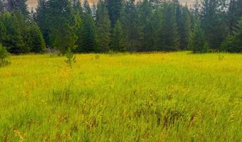 NNA Ginger Ln, Bonners Ferry, ID 83805