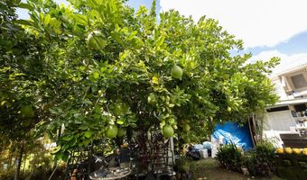 74 MAIKAI St, Hilo, HI 96720