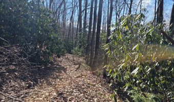 Warrior Way lot 16, Andrews, NC 28901