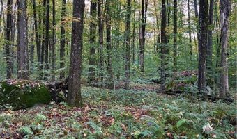 9822 Culver Brook Rd, Alder Creek, NY 13309