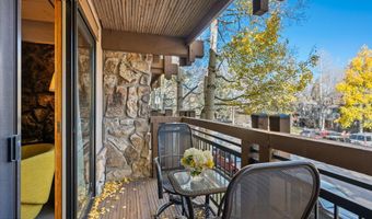 131 E Durant Ave 202, Aspen, CO 81611