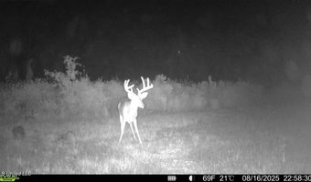 00 Ebenzer Church Rd, Bassfield, MS 39421