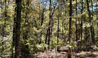 1011 Granny Hollar Rd, Atkins, AR 72823