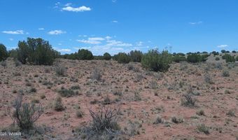 Tbd Ranch of the White Mountains, Concho, AZ 85924