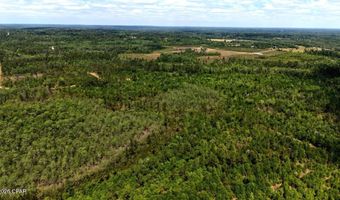 Broadview Avenue, Alford, FL 32420