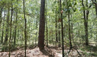 Highway 17A, Bonneau, SC 29431