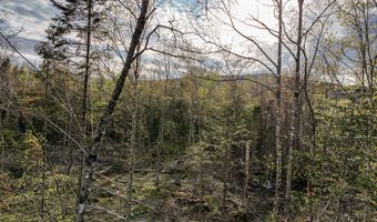 Lot 39 Sawyer Brook Road, Andover, ME 04216