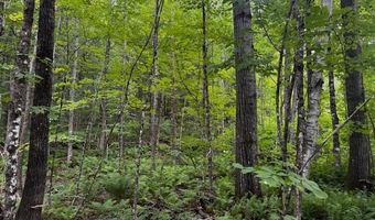 M13 L18-b Fish Road, Anson, ME 04911