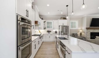 190 Chestnut St, Ball Ground, GA 30107