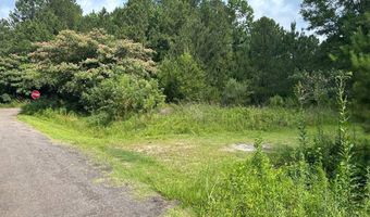Orange Blossom St lot On, Andrews, SC 29510