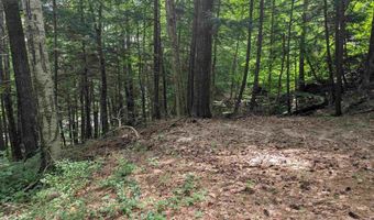 47 Green Acres Dr, Bristol, NH 03222