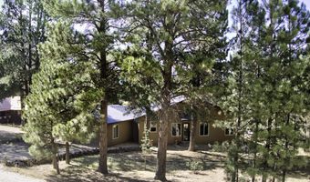 22 Valle Grande Trl N, Angel Fire, NM 87710