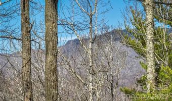 Saylor Lake Road, Bakersville, NC 28705