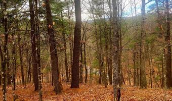 SPITZ Lane, Basye, VA 22810