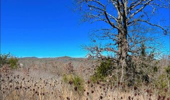 45 N 4450 Rd, Albion, OK 74521