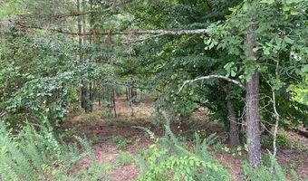 Lot 1-D Daniels Lane, Bennettsville, SC 29512