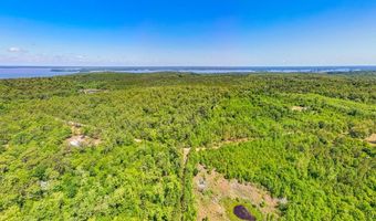 93 Acres Dell Rd, Bainbridge, GA 39819