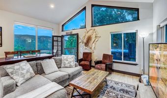 1095 Quartzville Rd, Alma, CO 80440