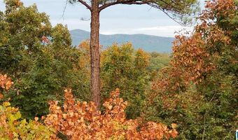 3200 AQUARIUS Dr, Alpine, AL 35014