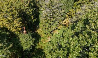 1127 Meadowdale Rd, Altamont, NY 12009