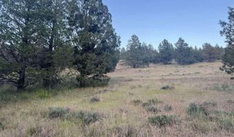 639 Pheasant Dr, Alturas, CA 96101