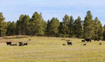 NHN Tongue River Rd, Ashland, MT 59003