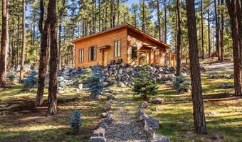 24 County Rd 2267, Alpine, AZ 85920