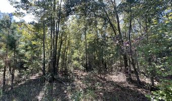 0 John S Horton, Adrian, GA 31002