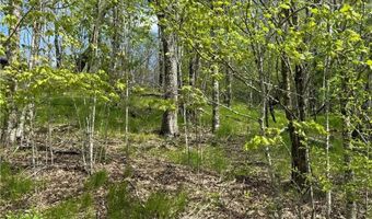 44 Fox Paw Ln, Banner Elk, NC 28604
