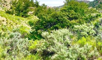6 N Fork Sage Creek Rd, Bridger, MT 59014