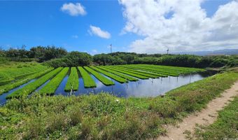 56-1081 Kamehameha Hwy, Kahuku, HI 96731